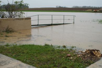 re photos 2014 388_4912x3264