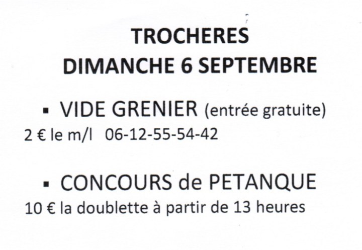 vide grenier