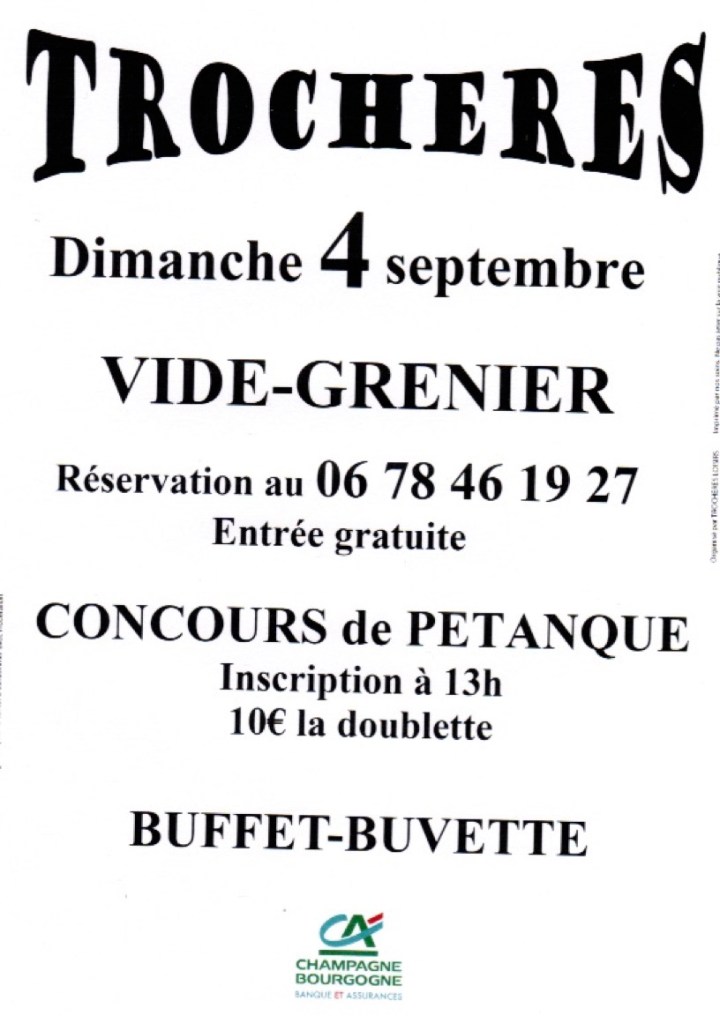 videgrenier affiche